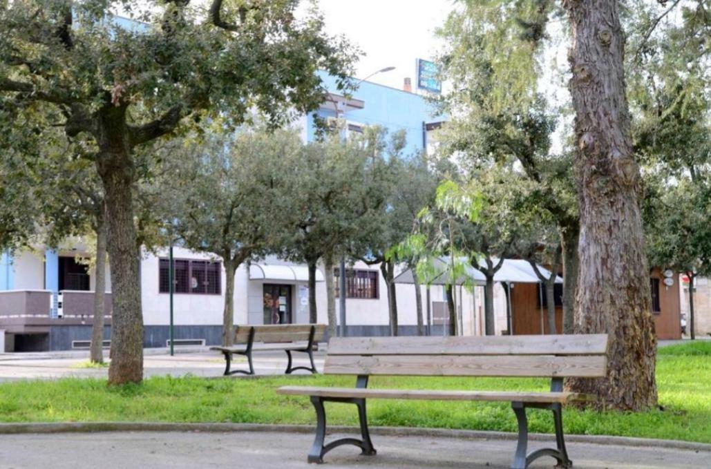 "La Casa Di Mariagrazia" Rooms Con Cucina Condivisa E Terrazza Sammichele Di Bari Exteriér fotografie